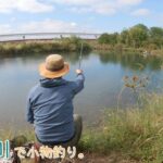 衝撃的な魚の量！ ビックリしました！ 立川の多摩川で小物釣り。