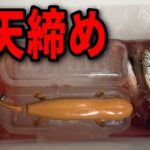 【アジング初心者講座】釣り初心者でも渋い状況でアジを釣る方法