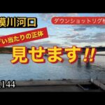【相模川河口】ダウンショットリグ検証やっぱりアクアちゃん🩷