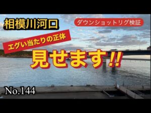 【相模川河口】ダウンショットリグ検証やっぱりアクアちゃん🩷
