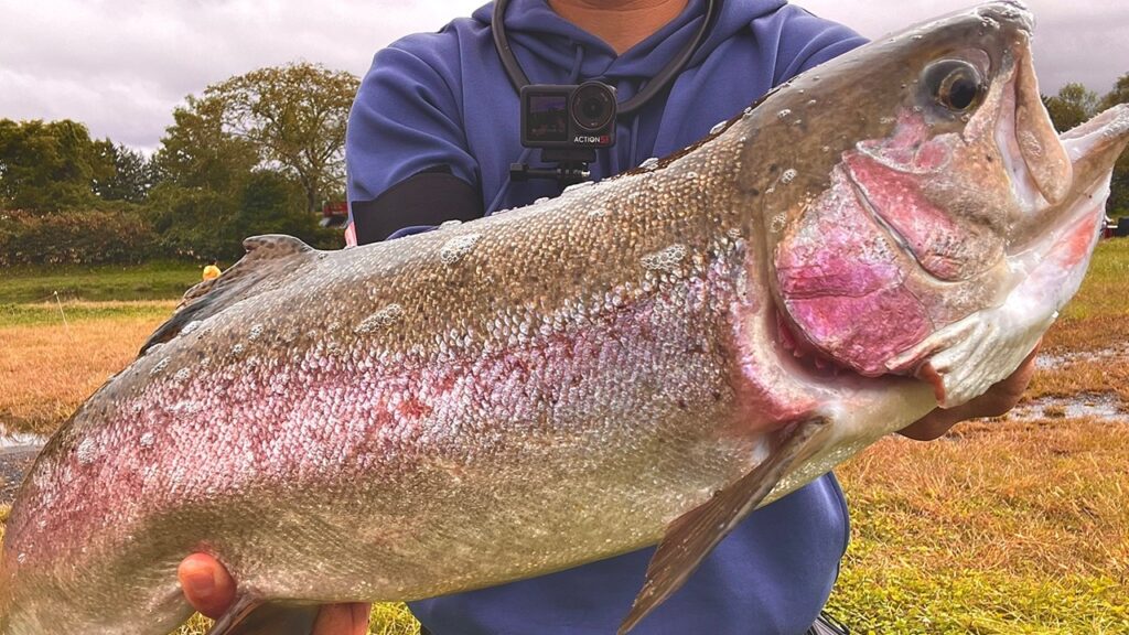 圧倒的大型魚影の"あの場所"で巨大なサーモンを釣り、激ウマ絶品タコス作ります【エリアトラウト】【管理釣り場】