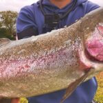 圧倒的大型魚影の"あの場所"で巨大なサーモンを釣り、激ウマ絶品タコス作ります【エリアトラウト】【管理釣り場】