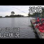 『近藤沼』水温は高め　気温は低め　状況の悪い中で　ヘラの活性は