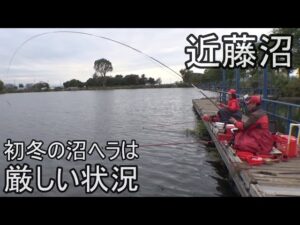 『近藤沼』水温は高め 気温は低め 状況の悪い中で ヘラの活性は