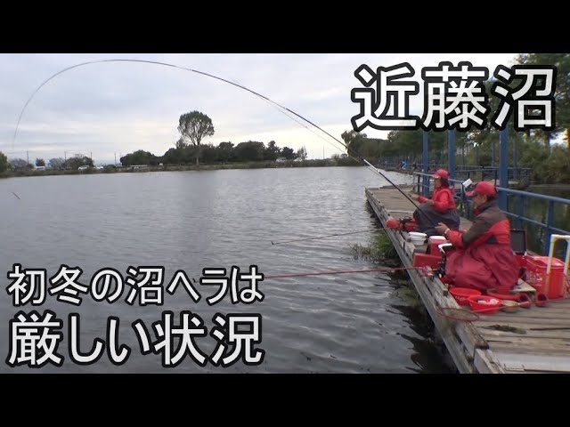 『近藤沼』水温は高め 気温は低め 状況の悪い中で ヘラの活性は