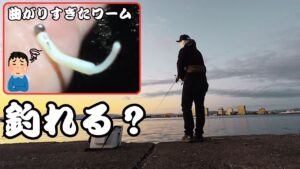 【浜名湖】曲がりすぎたワームで爆釣ライトゲーム？