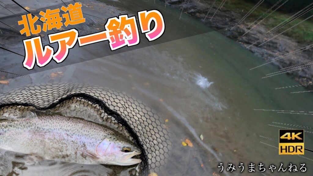 北海道のダム湖でルアー釣りに挑戦！！