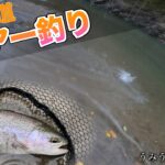 北海道のダム湖でルアー釣りに挑戦！！