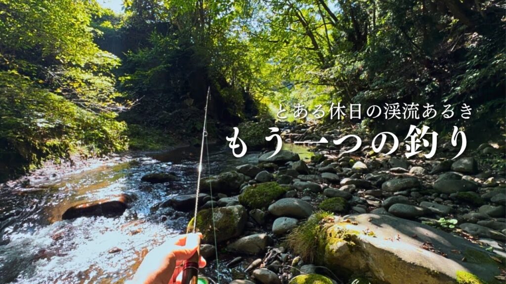 【渓流釣り】とある日のイワナ釣り