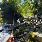 【渓流釣り】とある日のイワナ釣り