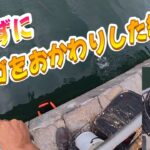 【浜名湖　釣り】諦めずにダンゴをおかわりした結果