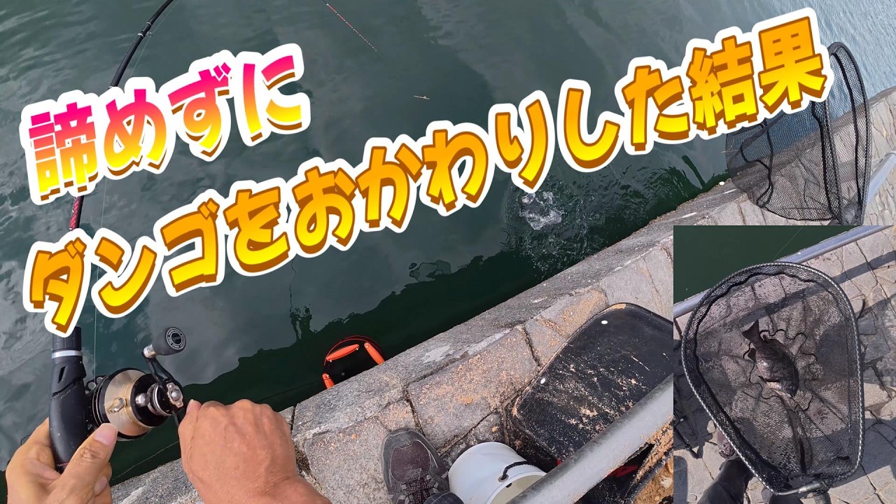 【浜名湖　釣り】諦めずにダンゴをおかわりした結果