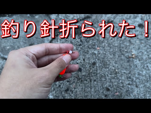 【北海道海釣り】大きな魚に釣り針を折られました！