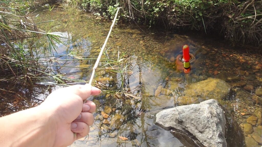上流から海まで竹竿釣りする