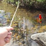 上流から海まで竹竿釣りする