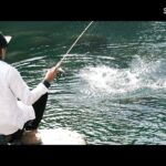 森の輝きと釣りのひととき【アウトドアヴィレッジ発光路の森】【エリアトラウト】【管理釣り場】