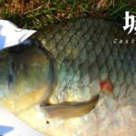 難攻不落の城沼で巨ベラを狙う！！