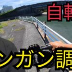 秋の浜名湖へ♪ギーコギーコ自転車漕いで釣りに行く♪