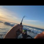 🎣釣りに行きたくなる【最速情報】朝マヅメとあるサーフにほぼ１週間通いつめてみたら…❶