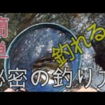 初心者必見！！絶対に釣れる渓流釣り！！簡単な釣り方教えます♪