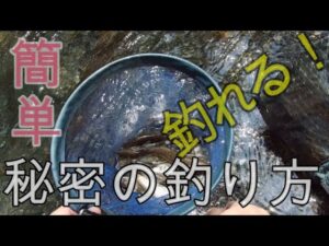 初心者必見！！絶対に釣れる渓流釣り！！簡単な釣り方教えます♪