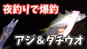 秋の東京湾で堤防釣りシーズン開幕?!アジ、タチウオ狙いの夜釣りが…激アツ！