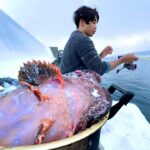 この怪物が堤防で釣れる時期がきた！！