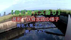 【印旛沼 バス釣り】最新・鉄骨水路の様子