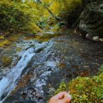 偶然みつけた "滑沢の初探索"にアガる！【渓流釣り】