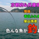 【京都府&兵庫県日本海で釣り】日本海で釣り三昧！香住ふれあいデッキ！