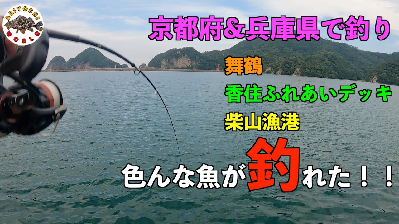 【京都府&兵庫県日本海で釣り】日本海で釣り三昧!香住ふれあいデッキ!
