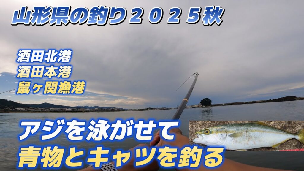 山形県の釣り２０２５秋「アジを泳がせて青物とキャツを釣る」酒田北港、酒田本港、鼠ヶ関漁港の釣り「キャンピングカー車中泊で北海道～沖縄日本全国釣りの旅」