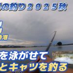 山形県の釣り２０２５秋「アジを泳がせて青物とキャツを釣る」酒田北港、酒田本港、鼠ヶ関漁港の釣り「キャンピングカー車中泊で北海道～沖縄日本全国釣りの旅」