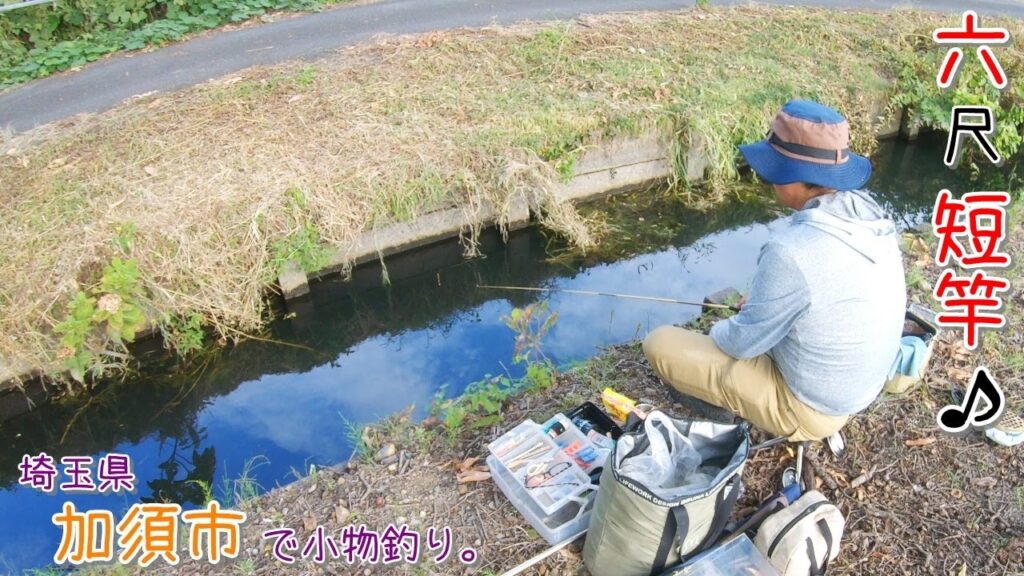 ６尺短竿での〇〇は面白いー！ 埼玉県 加須市で小物釣り。
