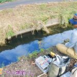 ６尺短竿での〇〇は面白いー！ 埼玉県 加須市で小物釣り。