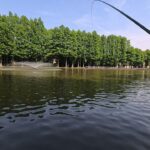 【梅雨入り前】別所沼公園で小物祭り！二種類の仕掛けで釣ってみた！