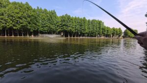 【梅雨入り前】別所沼公園で小物祭り!二種類の仕掛けで釣ってみた!