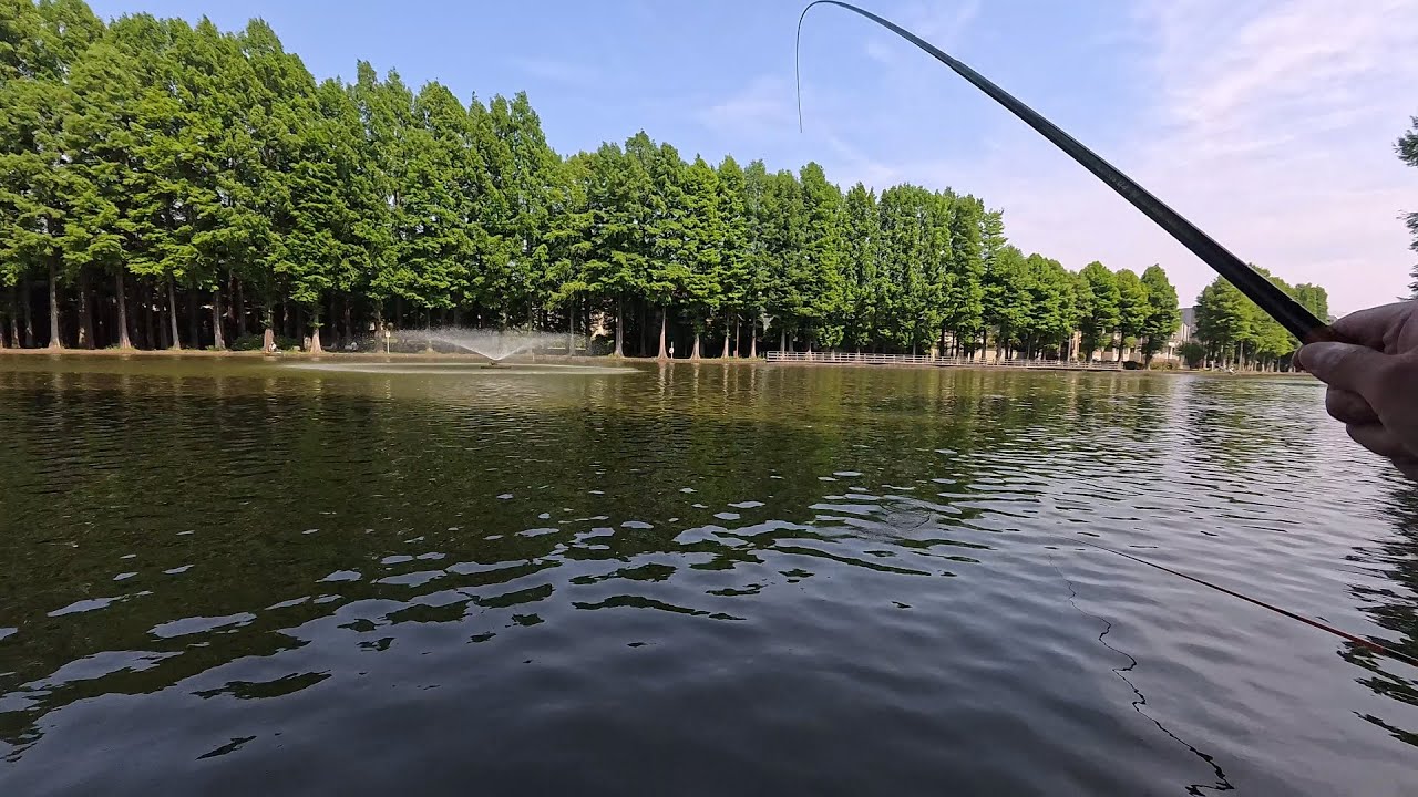 【梅雨入り前】別所沼公園で小物祭り!二種類の仕掛けで釣ってみた!