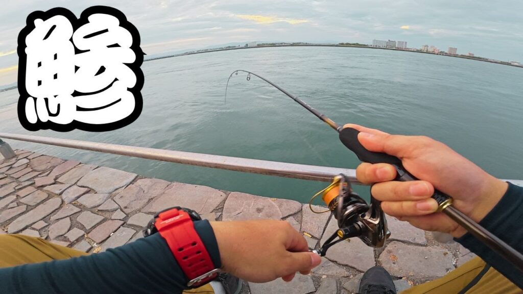 【浜名湖】サーフが微妙だから海釣り公園でアジング調査してみたら・・・