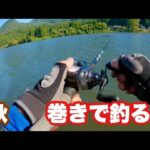 【秋 バス釣り】秋といえば巻き物！トップでも釣れる！