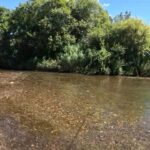 静かな川で釣りと自然を満喫 厚別川で心をリセット