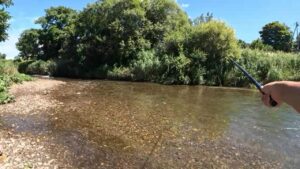 静かな川で釣りと自然を満喫 厚別川で心をリセット