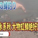 北海道の鱒釣り 石狩川水系秋 大物虹鱒好調