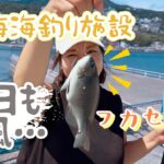 【熱海海釣り施設】フカセ釣りでメジナや黒鯛を狙う！