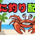 【カニ釣り巨大ガニ狙い🦀】 #海　#釣り #カニ釣り #マンディー
