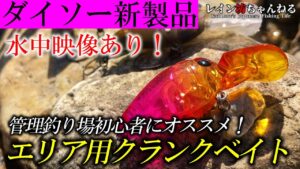 【水中映像あり】今度の新製品は管理釣り場初心者にオススメのエリア用クランクベイト!【ダイソー釣具】