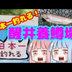 【醒井養鱒場】日本一釣れる管理釣り場で爆釣しよう！【管理釣り場】
