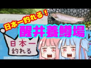 【醒井養鱒場】日本一釣れる管理釣り場で爆釣しよう！【管理釣り場】