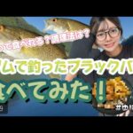 ゆにつりvol.19【ダム湖で釣ったブラックバス食べてみた！】