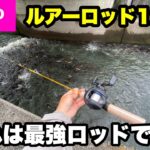魚が湧きまくってる水路で使ってみたら最強でしたw【ダイソールアーロッド】